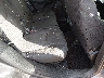 1C4PJLCB3GW****** Destrozados 2016 Jeep Cherokee en Denver East