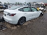 5YJ3E1EA1PF****** Salvage and Wrecked 2023 Tesla Model 3 in California State