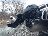 00000DVN510****** Reparables 2023 Avalon Pontoon en Rec Rides Online Exclusive