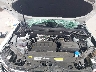 1V2DN2CA8TC****** Reparables 2026 Volkswagen Atlas en Dallas