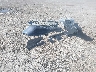 5YJ3E1EB3NF****** Salvage 2022 Tesla Model 3 in Texas State