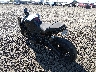 JYARN33E6GA****** Salvamento y Reparables 2016 Yamaha FZ-09 en Eugene