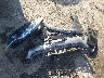 1FMCU0GX4DU****** Wrecked 2013 Ford Escape in Ohio State