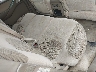 5N1AR18UX7C****** Wrecked 2007 Nissan Pathfinder in New Orleans East