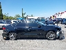 3FA6P0PU1HR****** Repairable 2017 Ford Fusion in California State