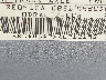 3N1AB6APXAL****** Used 2010 Nissan Sentra in Pulaski