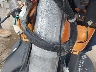 JH2AF5806BK****** Reparables 2011 Honda NPS50 (Ruckus) en Rec Rides Online Exclusive