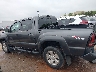 3TMJU4GN1DM****** Salvage 2013 Toyota Tacoma