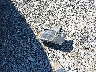 1C4RJFBG3GC****** Destrozados 2016 Jeep Grand Cherokee en Estado de Virginia