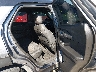 KL79MTSL9MB****** Wrecked 2021 Chevrolet Trailblazer in Indianapolis