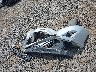 4T1BK1FK7DU****** Wrecked 2013 Toyota Camry in Hawaii State