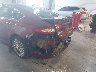 3FA6P0RU9ER****** Destrozados 2014 Ford Fusion en Estado de Colorado