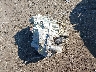 7SAYGDEE6NF****** Wrecked 2022 Tesla Model Y in Virginia State