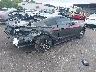 1FA6P8TH2F5****** Salvamento y Destrozados 2015 Ford Mustang en Estado de Florida