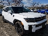 5NMP5DGL4RH****** Salvage and Wrecked 2024 Hyundai Santa Fe in Englishtown
