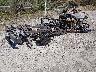 1FTFW1E59PF****** Salvage and Wrecked 2023 Ford F-150 in Kentucky State