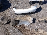 5NPEB4AC0EH****** Wrecked 2014 Hyundai Sonata in Mississippi State