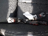 WA1GAAFY4R2****** Salvage 2024 Audi Q5 in Colorado State