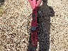 C0J2661***** Wrecked 2002 Commander Boats Other in California State