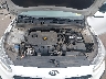 3KPF24AD4LE****** Repairable 2020 Kia Forte in Phoenix