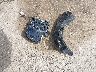 KMHLM4DJ9SU****** Wrecked 2025 Hyundai Elantra Hybrid in Indiana State