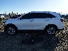 5XYPGDA30KG****** Salvamento 2019 Kia Sorento