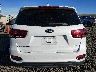 5XYPGDA30KG****** Usados 2019 Kia Sorento