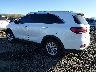 5XYPGDA30KG****** Salvamento y Reparables 2019 Kia Sorento en Eugene