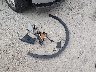 1N6AD0ER3JN****** Wrecked 2018 Nissan Frontier in Kentucky State