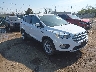 1FMCU9GD7KU****** Salvamento y Destrozados 2019 Ford Escape en Columbus