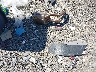 5NPD84LF7LH****** Wrecked 2020 Hyundai Elantra in Virginia State