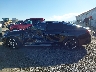5XXG64J25PG****** Salvage 2023 Kia K5