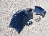4T4BF1FK1GR****** Wrecked 2016 Toyota Camry in New Jersey State