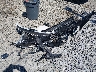 1N4AA6EV7LC****** Wrecked 2020 Nissan Maxima in Tennessee State