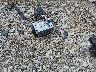 1GT12REG7HF****** Wrecked 2017 GMC Sierra 2500HD in Arkansas State