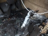 5UXZV4C54D0****** Salvamento 2013 BMW X5 en Estado de Florida