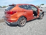 5XYZT3LB0HG****** Salvage and Wrecked 2017 Hyundai Santa Fe in Florida State