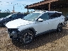5NMJFCAE4NH****** Usados y Reparables 2022 Hyundai Tucson en Long Island
