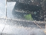 1HGCP36808A****** Usados 2008 Honda Accord en Savannah