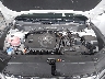 5NMJBCDE0RH****** Reparables 2024 Hyundai Tucson en IAA Fort Pierce