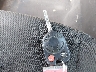 1FADP3F20EL****** Salvage 2014 Ford Focus in North Carolina State