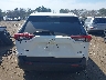 2T3RWRFV1SW****** Wrecked 2025 Toyota RAV4 Hybrid