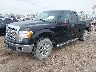 1FTFX1EF1DF****** Used and Repairable 2013 Ford F-150 in Cincinnati