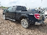1FTFX1EF1DF****** Salvage and Repairable 2013 Ford F-150 in Cincinnati