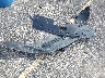 2HKRM3H44GH****** Wrecked 2016 Honda CR-V in Wisconsin State