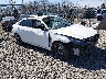 5NPLP4AG0PH****** Salvage and Wrecked 2023 Hyundai Elantra in Shady Spring
