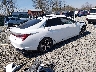 5NPLP4AG0PH****** Salvage and Wrecked 2023 Hyundai Elantra in West Virginia State