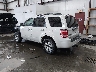 1FMCU9EG3AK****** Salvage and Repairable 2010 Ford Escape in Boise