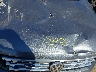 3VV4B7AXXJM****** Reparables 2018 Volkswagen Tiguan en Long Island