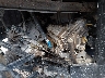 3NSRME575JE****** Wrecked 2018 Polaris Ranger in Davenport